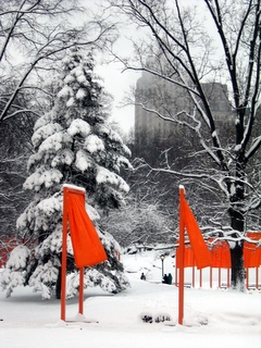 snowy gates