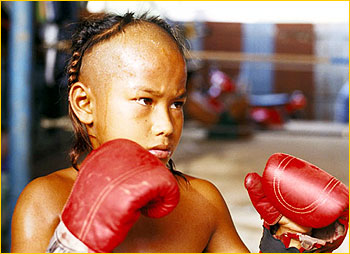 young thai boxer