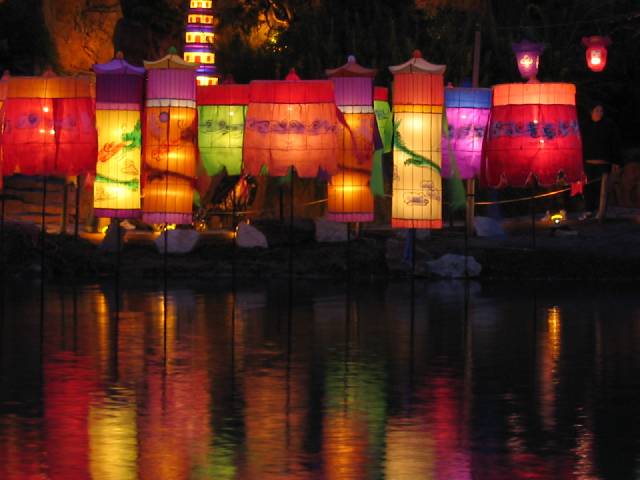 Lanterns For Weddings. Lanterns Afloat